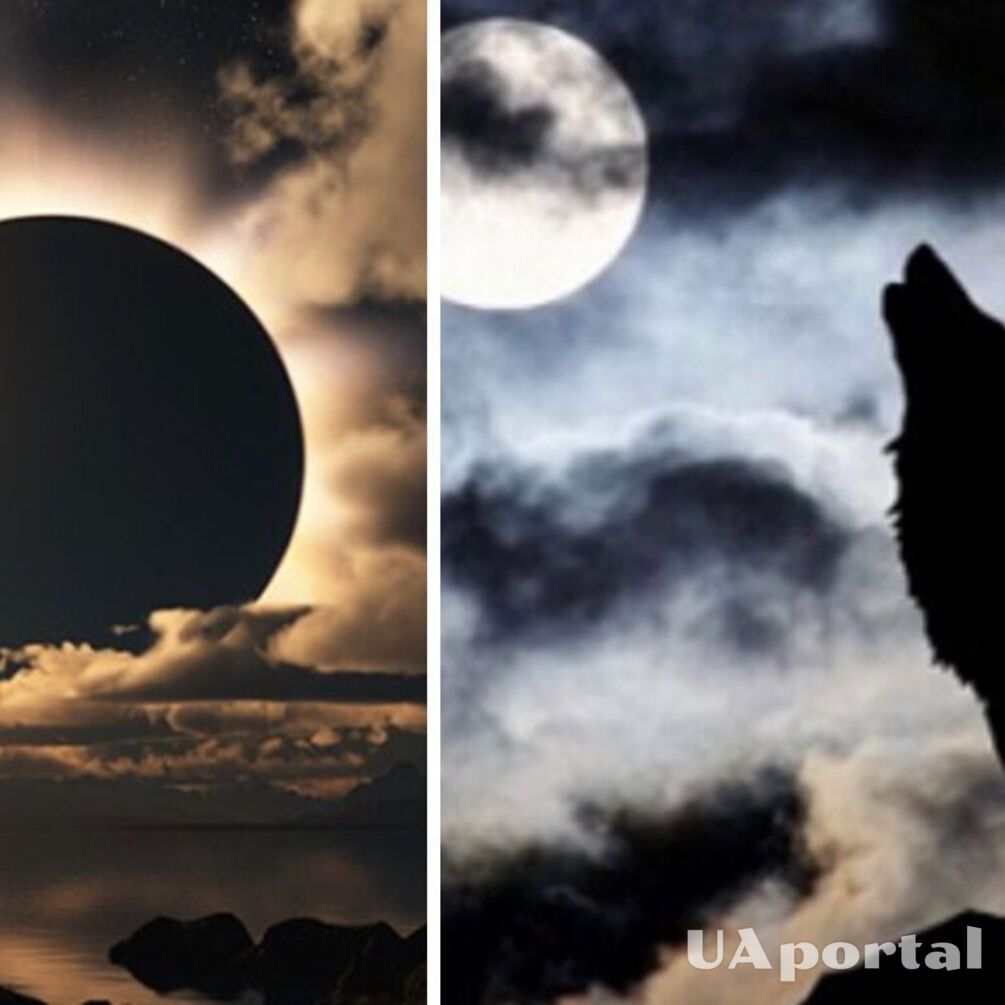 Scientists have noticed a strange behavior of animals during solar eclipses: they hide or start mating
