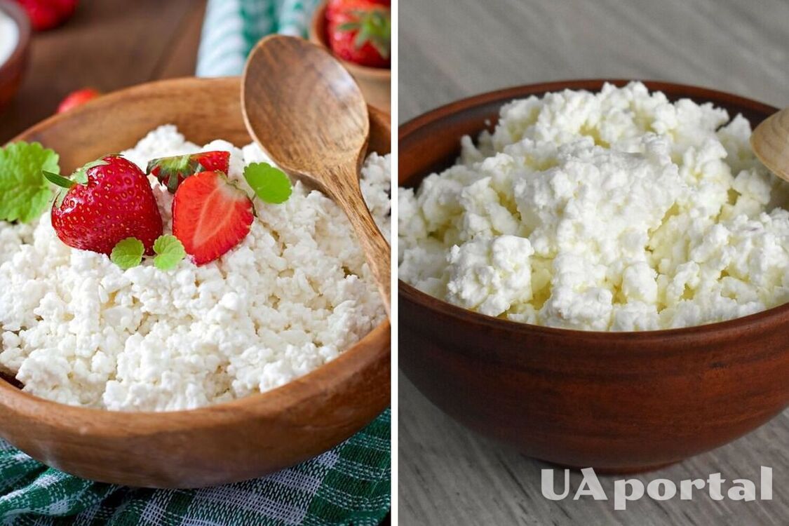 Will not spoil for weeks: how to store cottage cheese properly