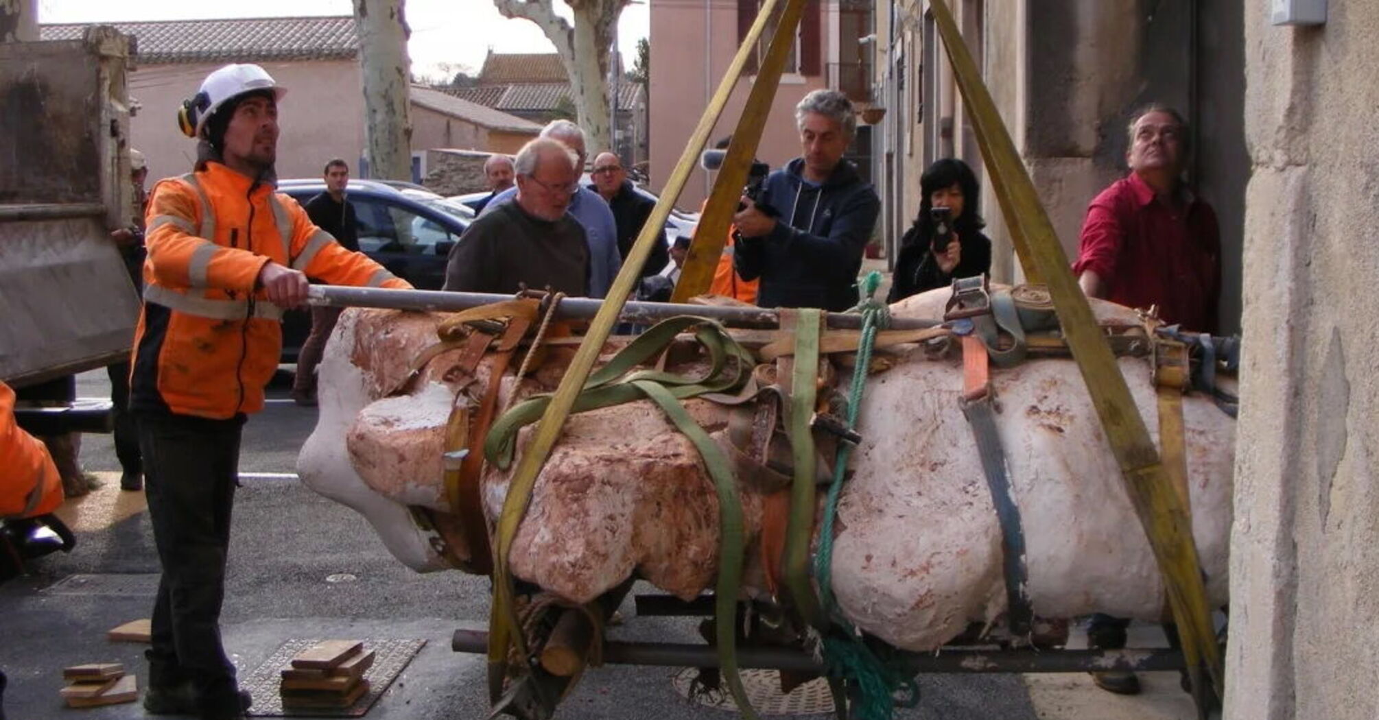 У французькому лісі знайшли 10-метрову кістку, яка належала титанозавру 