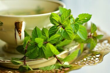 Неочікувана небезпека в чашці: кому не слід пити чай з м'ятою