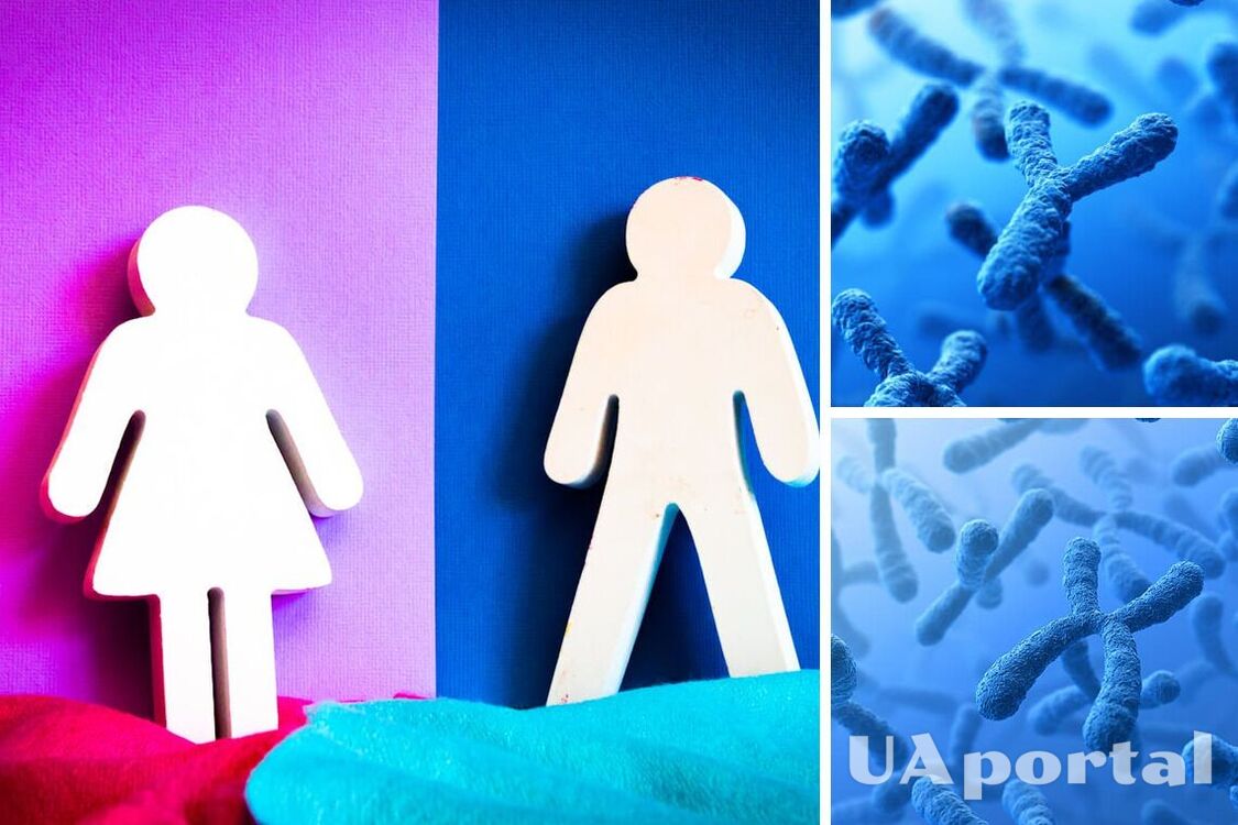 Чоловіки можуть зникнути: науковці виявили, що у людей виробляється абсолютно новий статевий ген