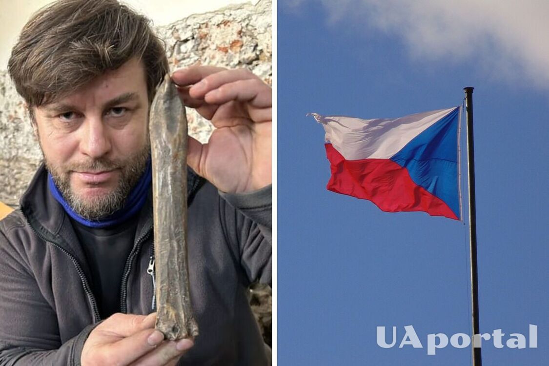 В Чехии обнаружили 1000-летний костяной конек (фото)