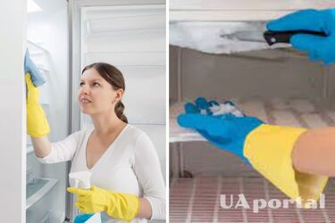 How to wash the refrigerator in a few minutes without chemicals: life hacks from housewives