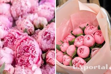 Чем полить пионы, чтобы улучшить их цветение: советы садоводов