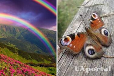 Бабочки и радуга: 5 примет, предвещающих счастье