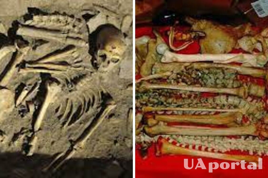 Scientists have discovered what diseases killed thousands of people in the Neolithic era: they have survived to our time