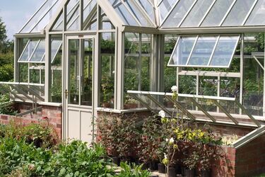 Protect the greenhouse from ants