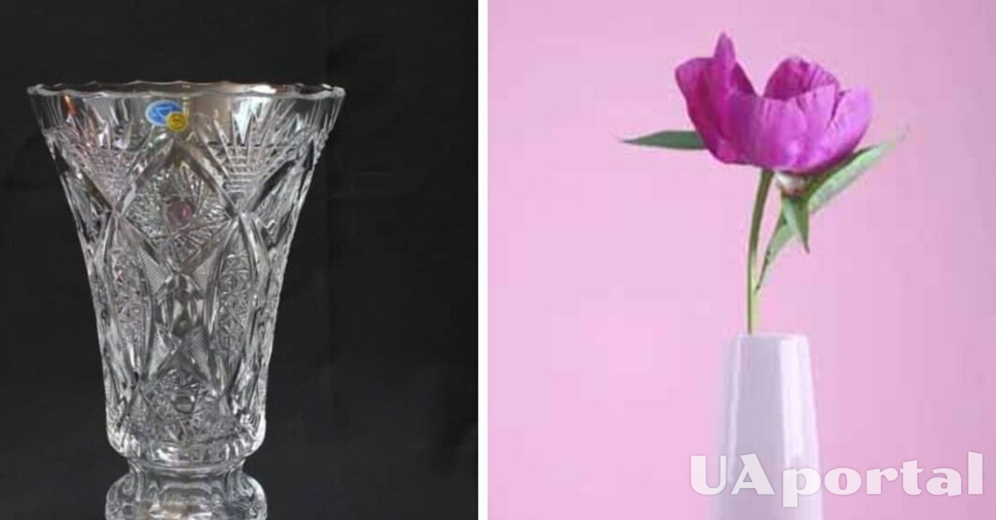 Как идеально помыть вазу с узким горлышком: впечатляющий лайфхак от хозяек