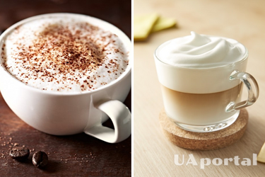 As in the coffeehouse: the recipe for cappuccino without a coffee machine