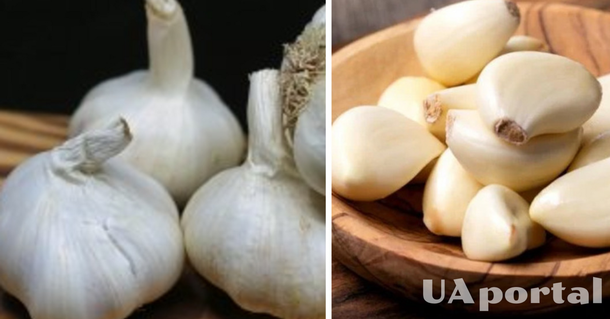 What to do with garlic before planting to give a good harvest
