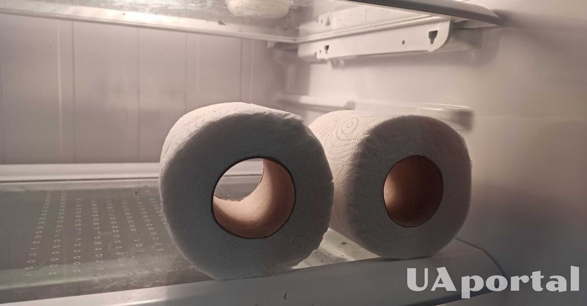 Why experienced owners put a roll of toilet paper in the refrigerator