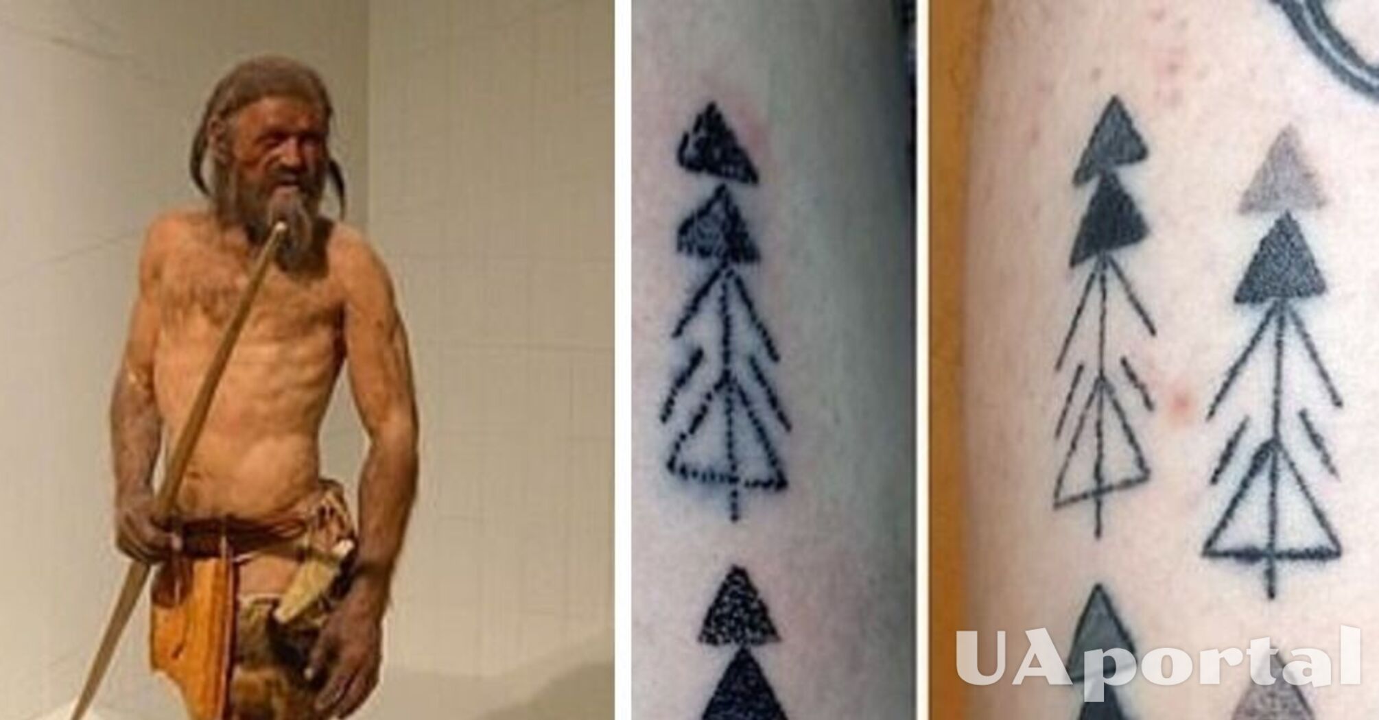 Раскрыта тайна нанесения татуировок 5300-летнего ледяного человека Этци (фото)