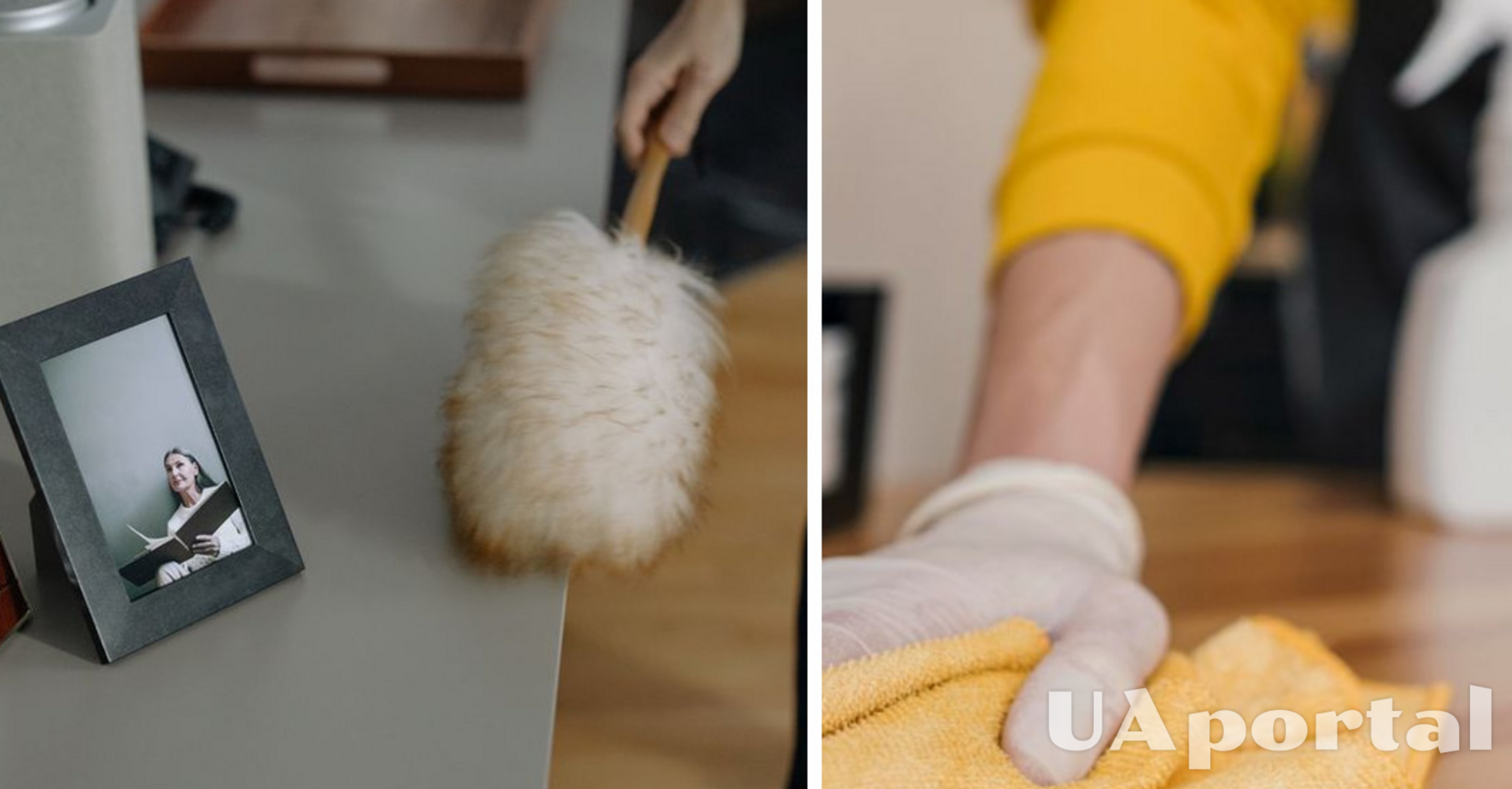 Как надолго избавиться от пыли в комнатах: 8 действенных лайфхаков от хозяек