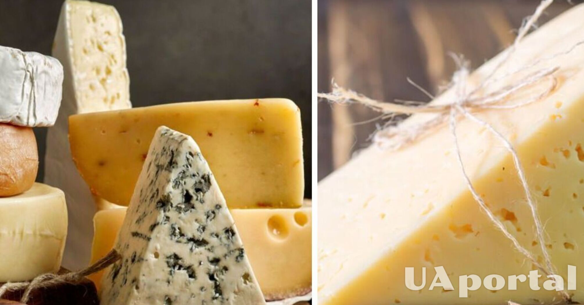 Как правильно хранить сыр, чтобы оставался свежим дольше