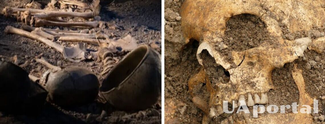 Ученые выяснили, как 'невидимые убийцы' уничтожали людей из эпохи неолита