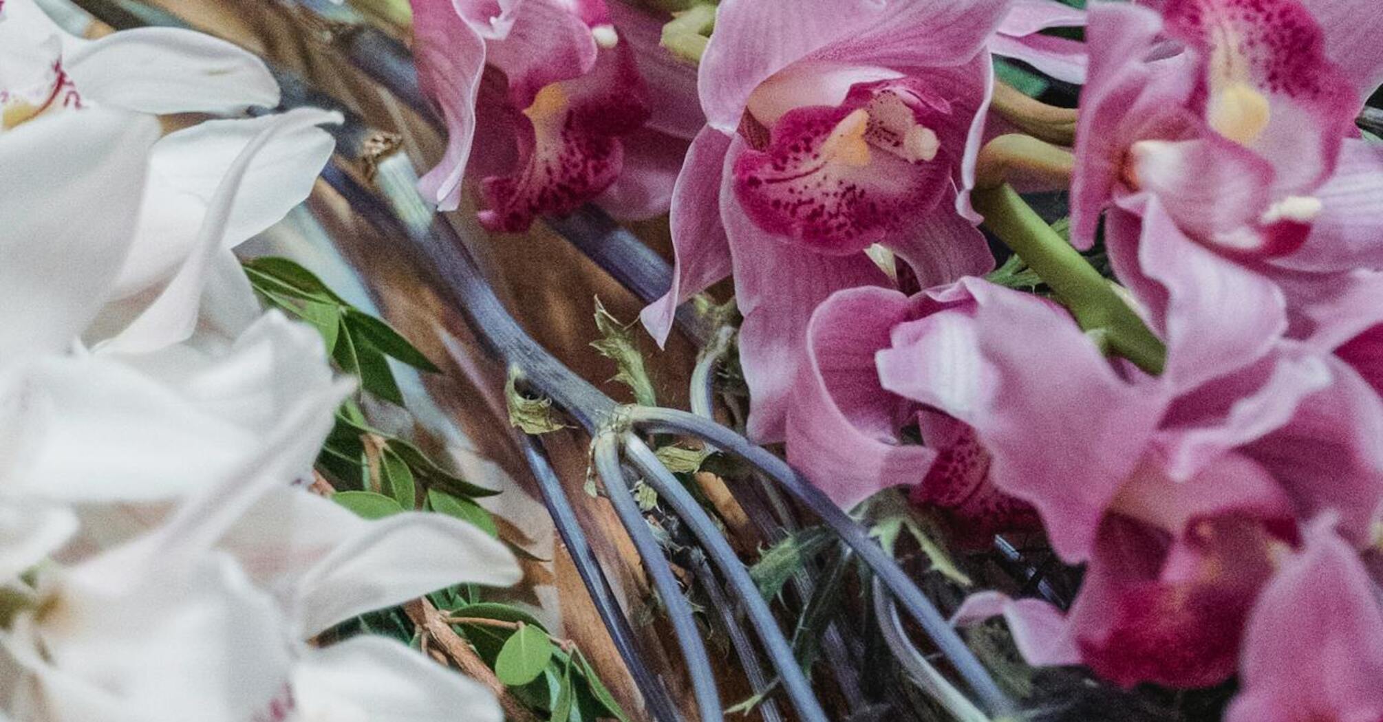 Садівники порадили орхідеям дати картоплі: 'квітнутиме як скажена'
