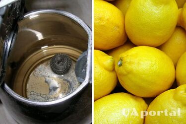 Знавці порадили, як можна відмити чайник від нальоту без оцту: дешевий та дієвий варіант