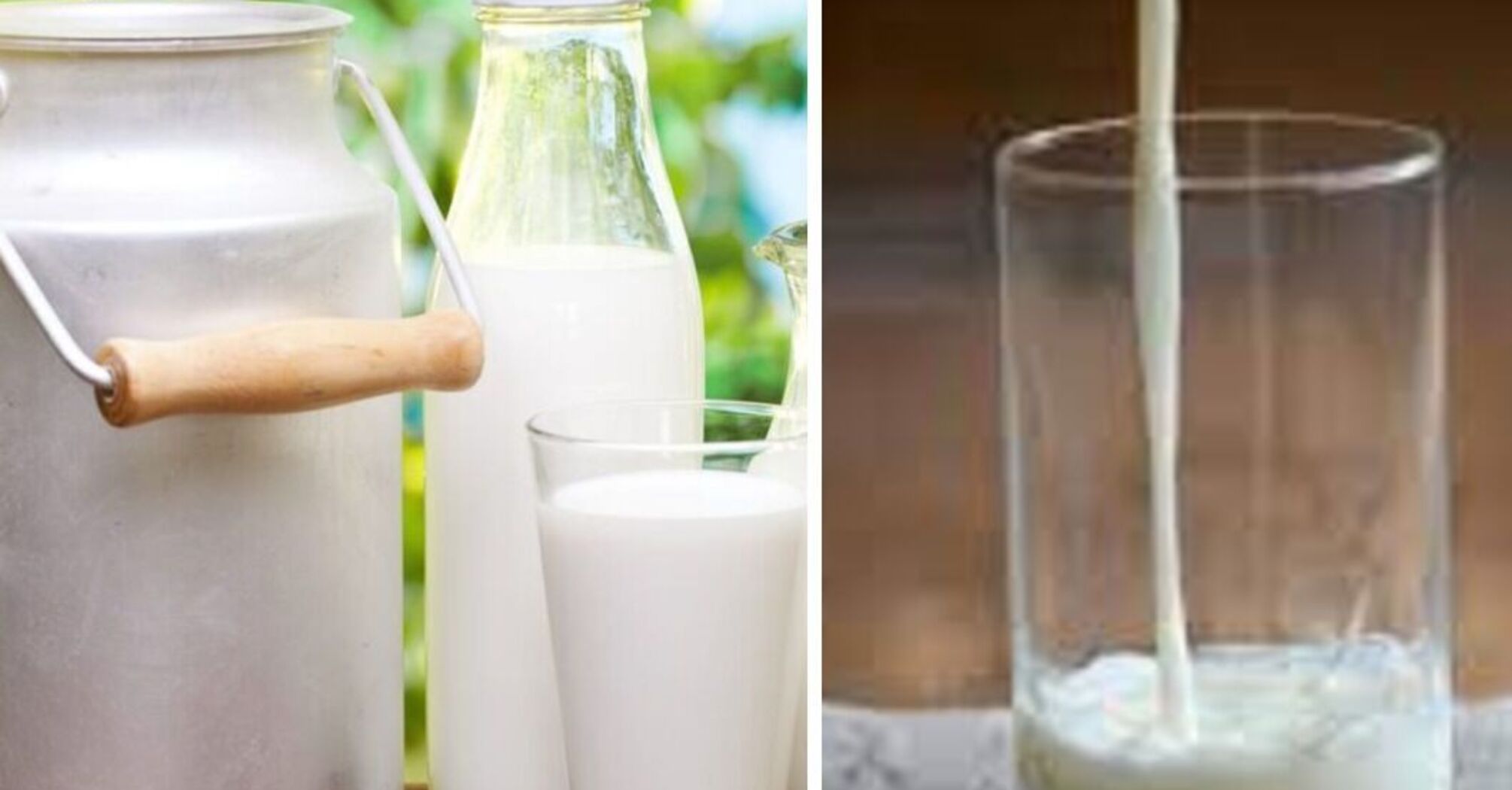 Как продлить срок хранения молока: хозяйки поделились лайфхаком