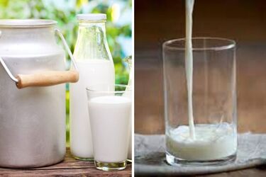 How to extend the shelf life of milk: housewives share their life hack