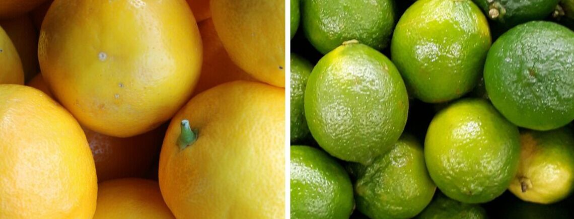 Лимон VS лайм: який цитрус корисніший для здоровʼя 