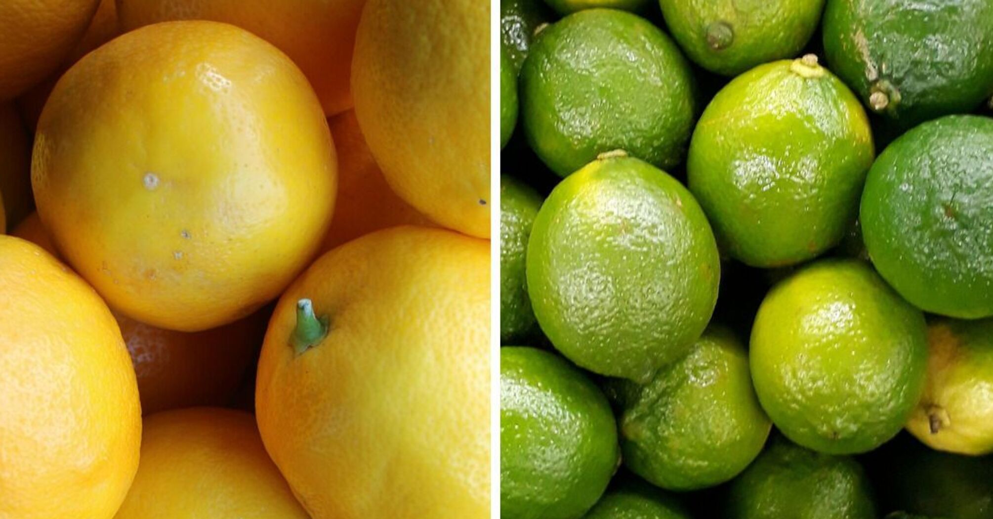 Лимон VS лайм: який цитрус корисніший для здоровʼя 