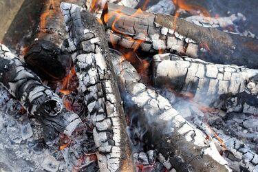 Будьте обережні з попелом: які рослини не переживуть подібне підживлення