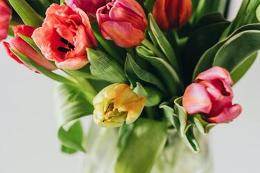 Простые советы для более длительного хранения живых цветов