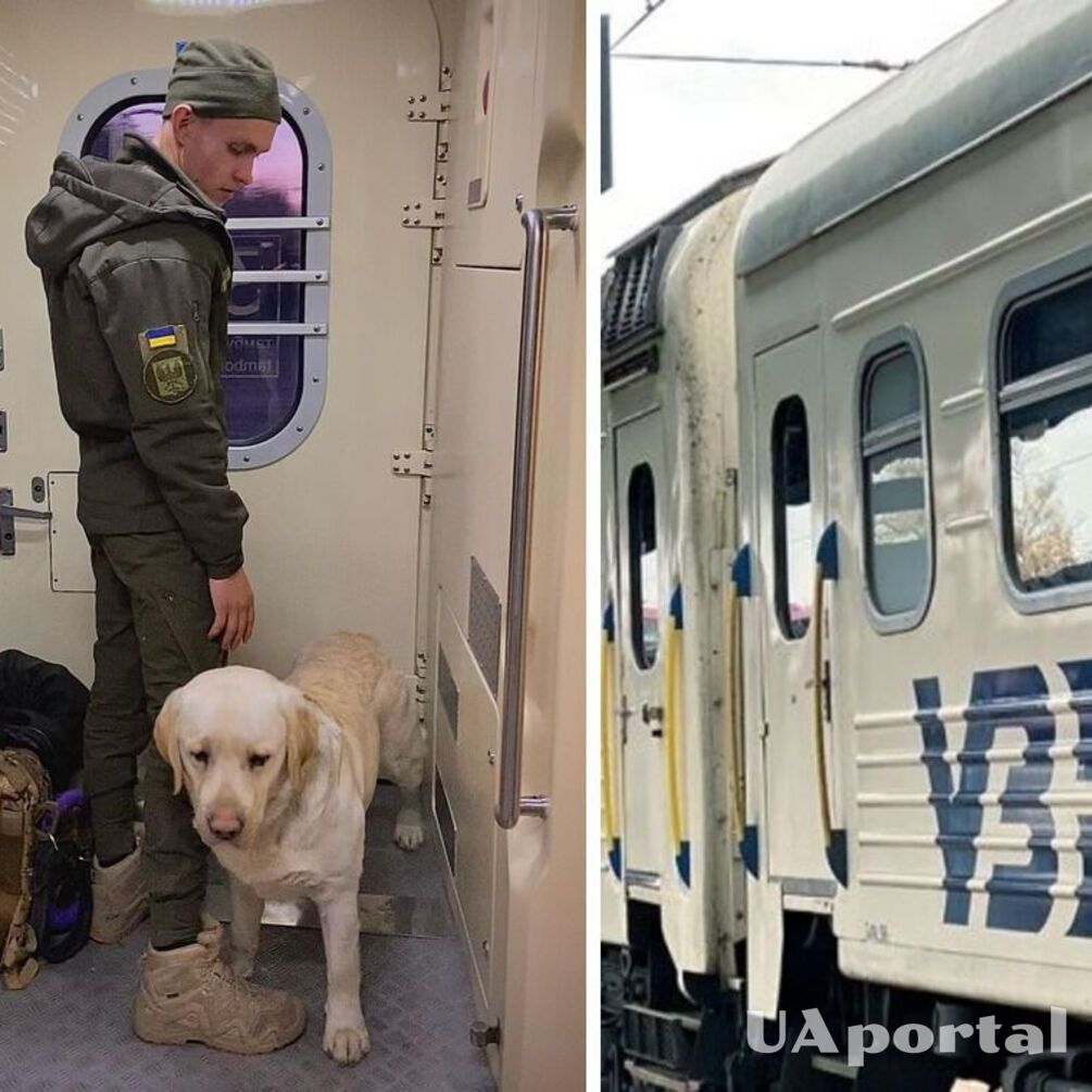 Военный с собакой был вынужден ехать, стоя в тамбуре поезда Киев-Чернигов: сеть возмущена (фото и видео)