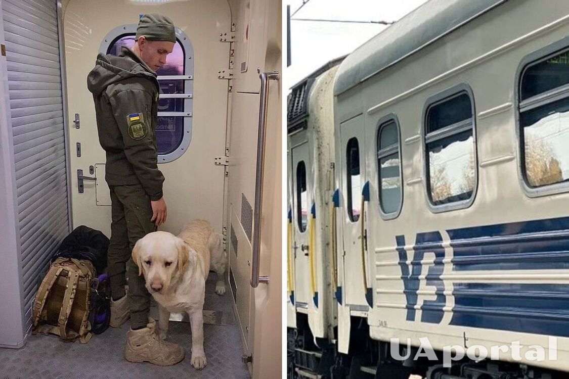 Военный с собакой был вынужден ехать, стоя в тамбуре поезда Киев-Чернигов: сеть возмущена (фото и видео)