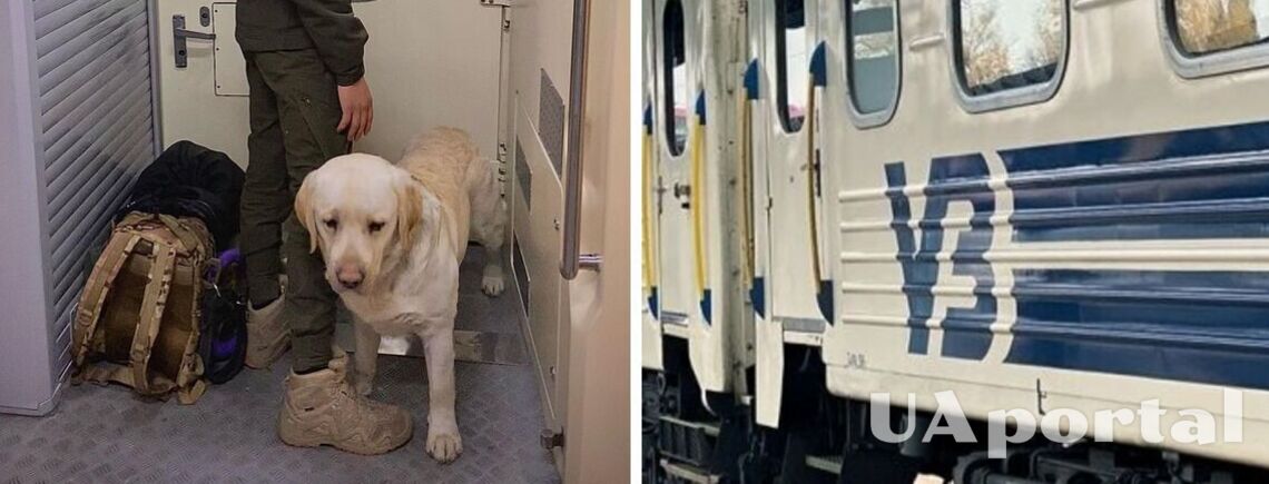 Военный с собакой был вынужден ехать, стоя в тамбуре поезда Киев-Чернигов: сеть возмущена (фото и видео)