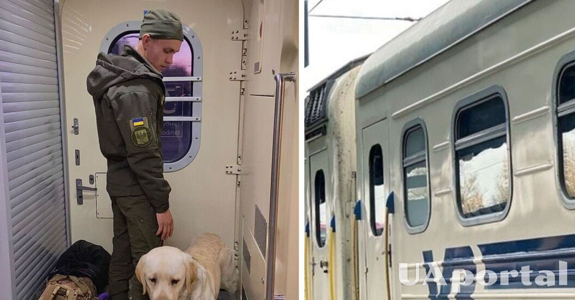 Військовий із собакою був змушений їхати стоячи у тамбурі потягу Київ-Чернігів: мережа обурена (фото та відео)