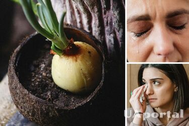 Почему лук заставляет нас плакать: что говорит наука