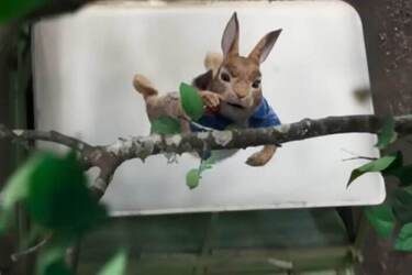 Пригоди, сміх та зворушливі історії: найкращі фільми для сімейного перегляду