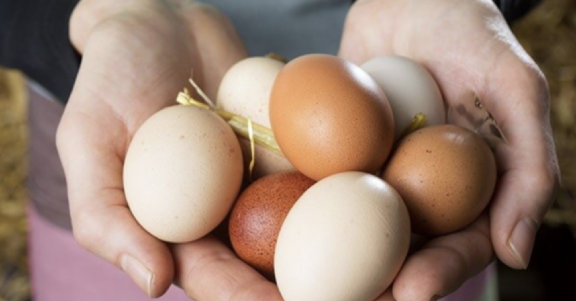 Віддаєте щастя з дому: чому, за повір'ями, не можна позичати курячі яйця