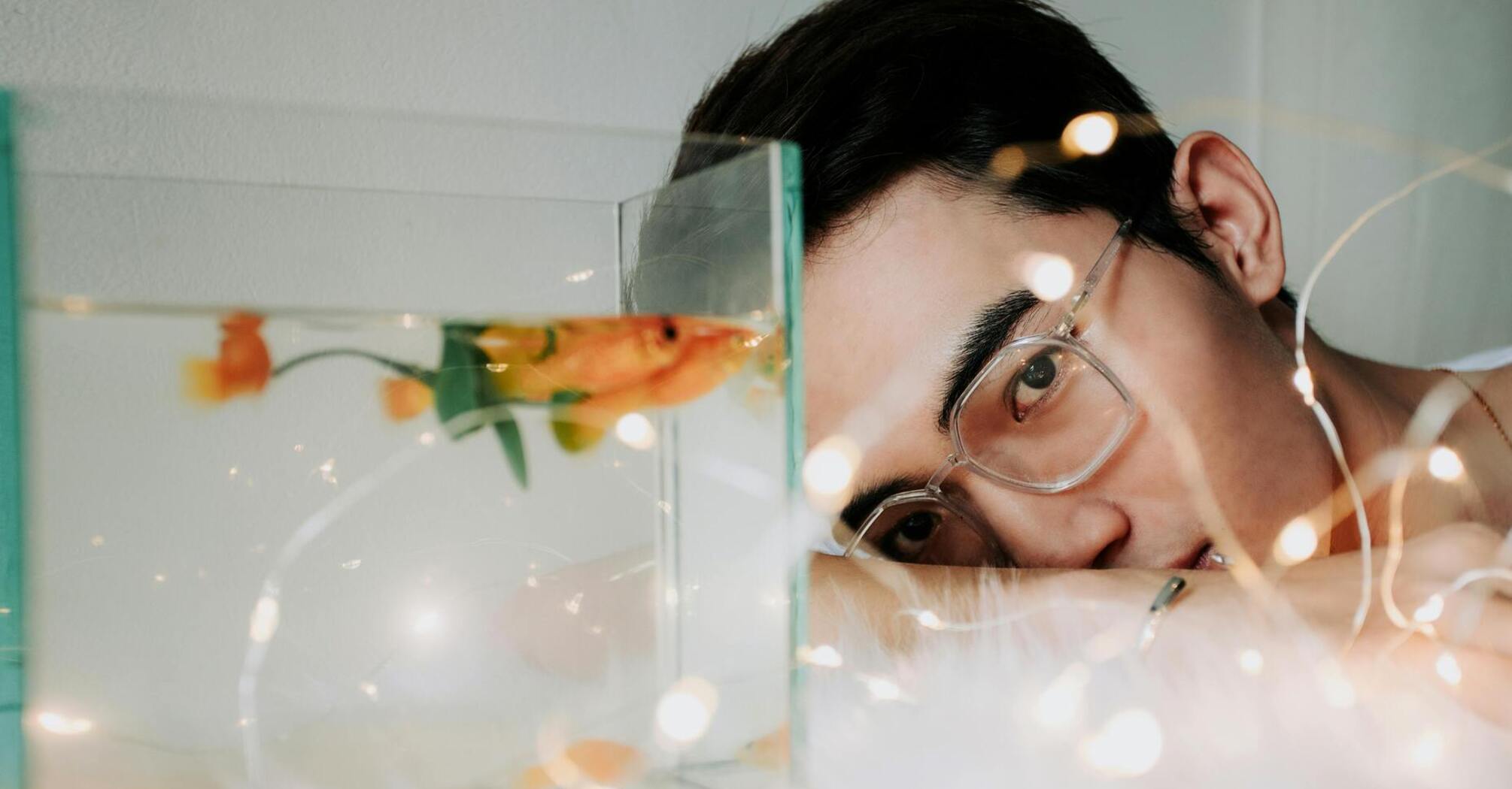 Internal and external filters for the aquarium: which one is better to choose