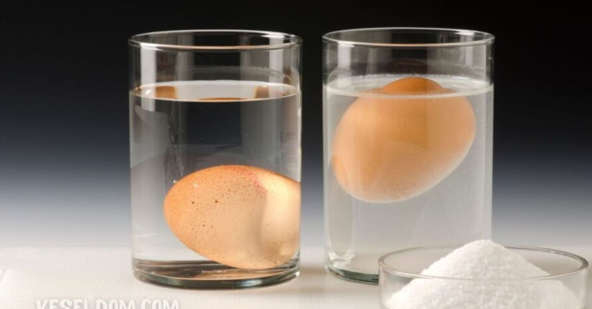 Як перевірити свіжість яєць: лайфхак з водою 