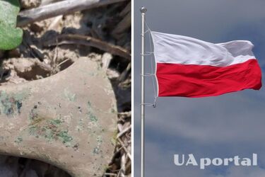 A copper ax from the 4th-3rd millennium BC was discovered in Poland (photo)