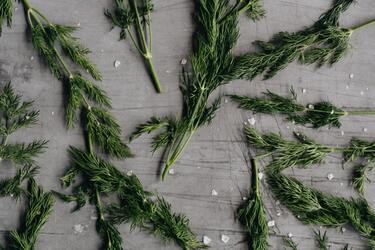 Superstitions about dill in the kitchen