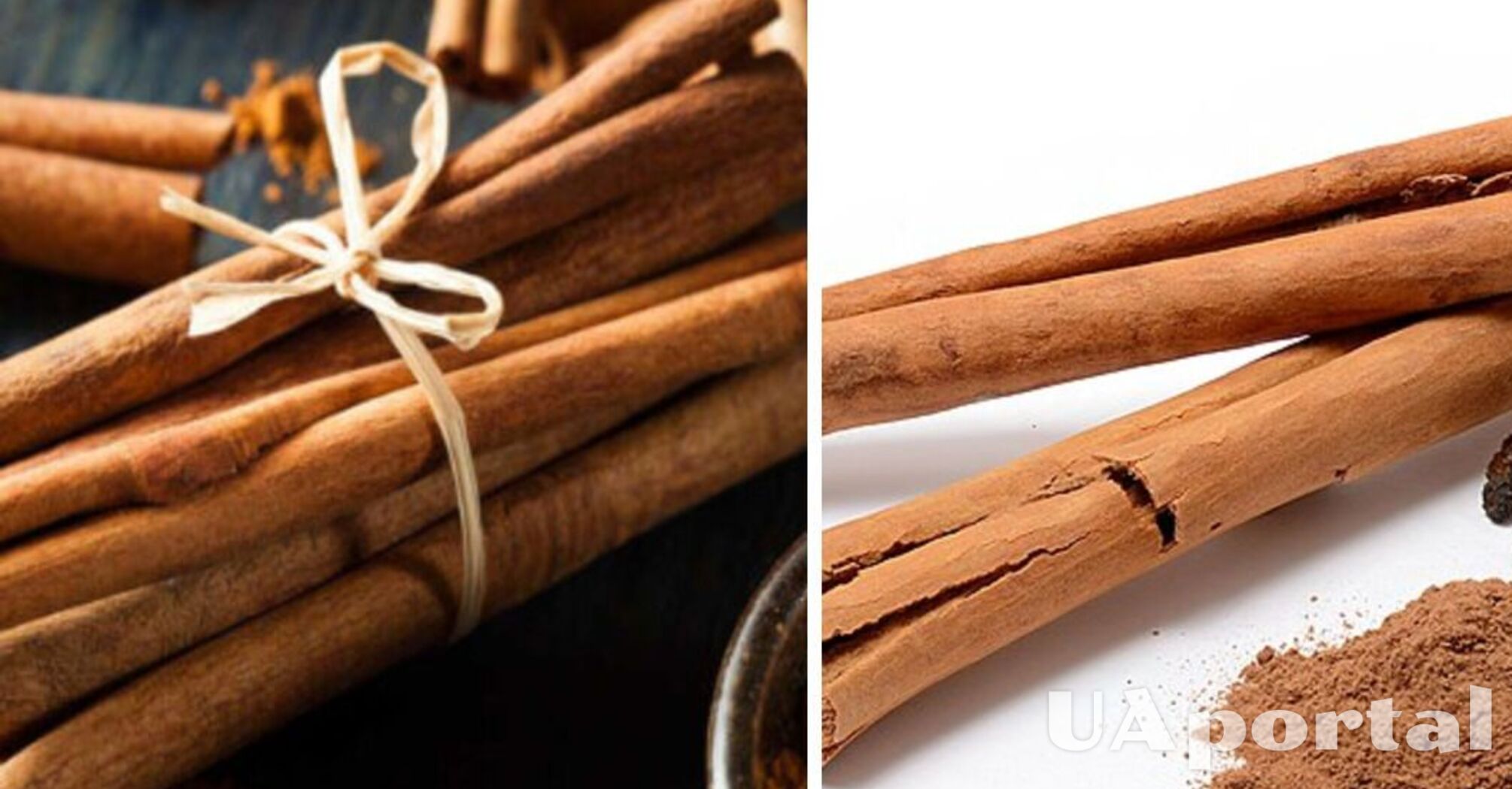 Strengthens the immune system and improves memory: why you should eat cinnamon regularly
