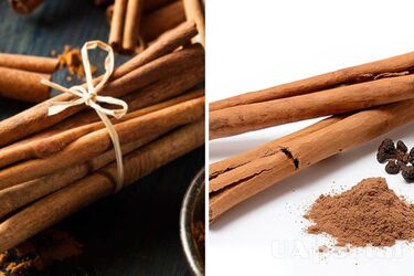 Зміцнює імунітет та покращує пам‘ять: чому варто регулярно вживати корицю