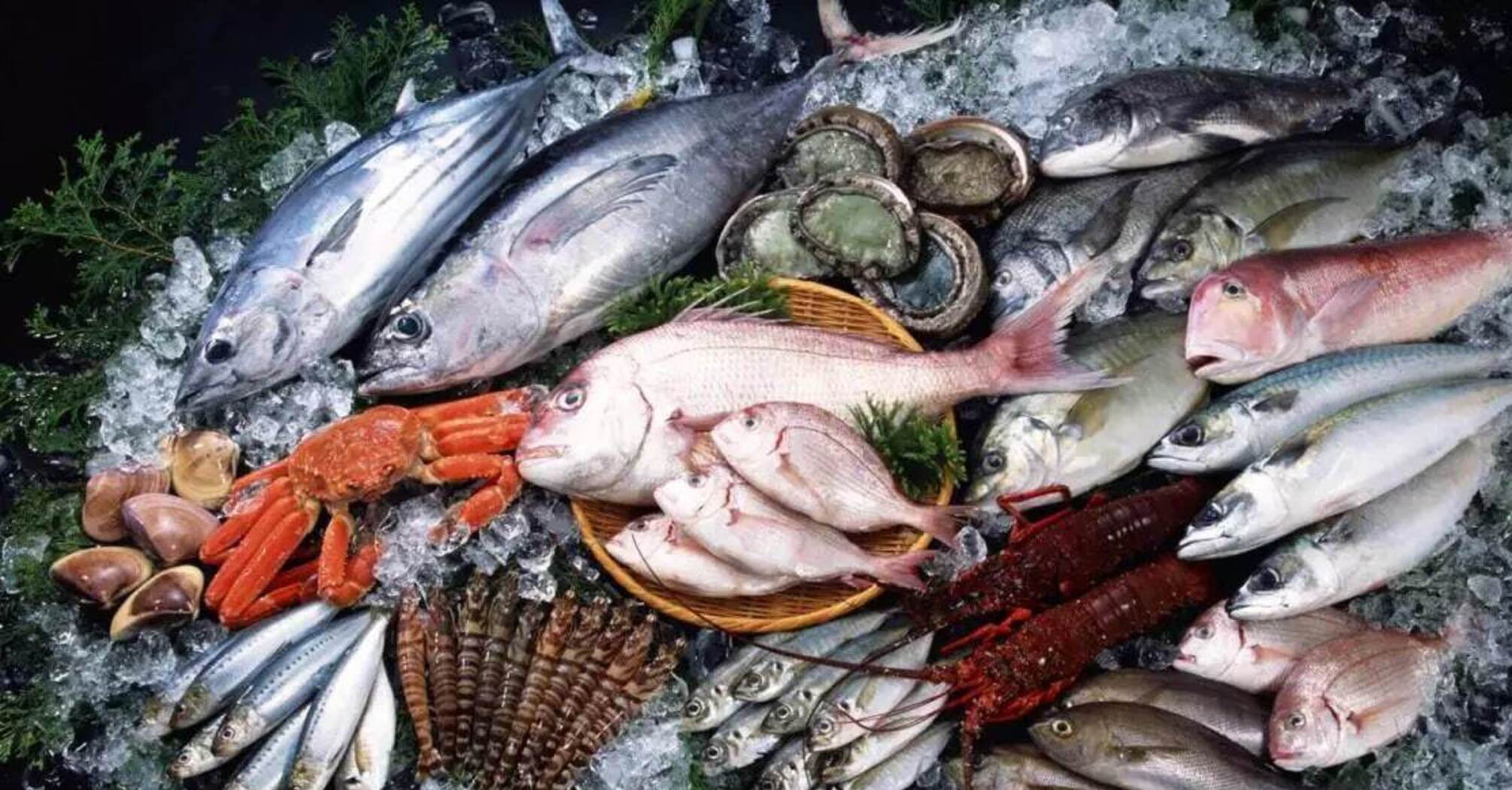 How to choose the right fish – how to distinguish fresh from stale fish ...