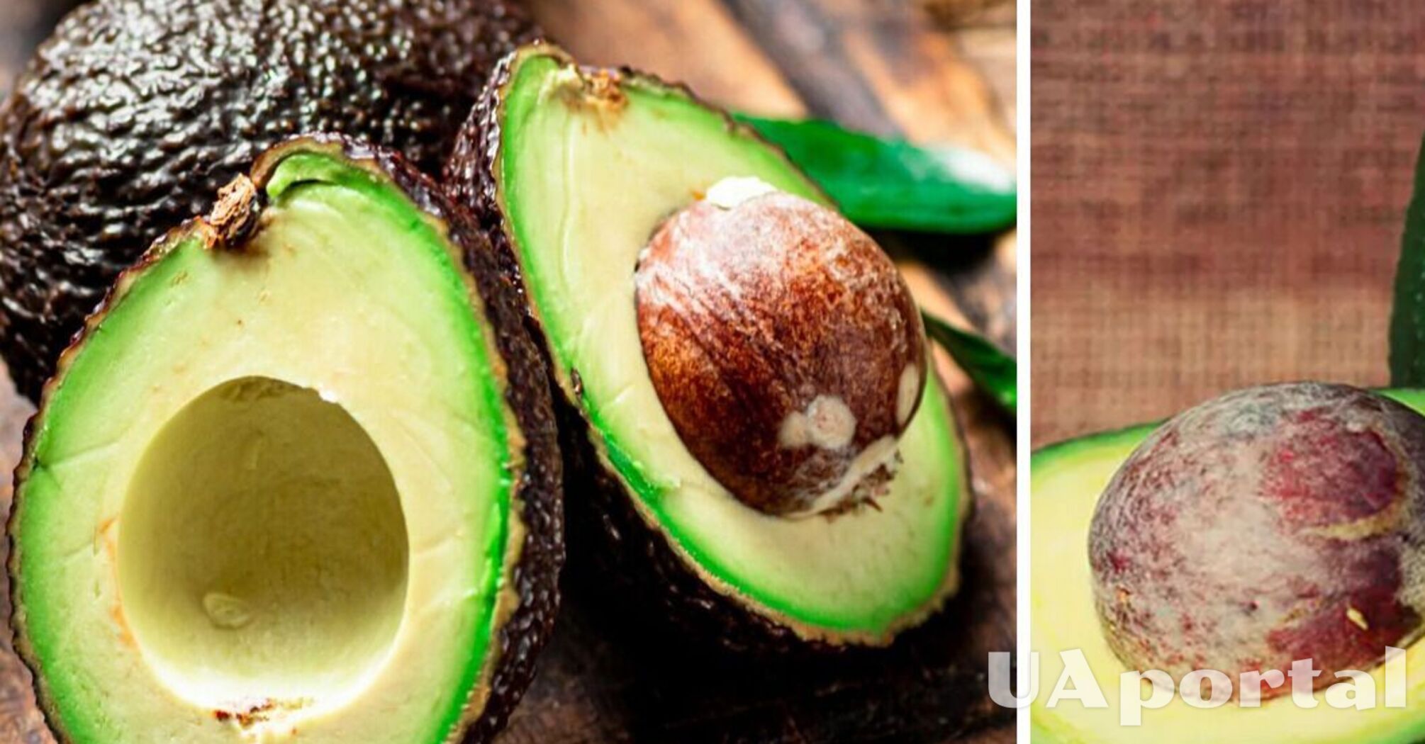 Who should not eat avocados regularly