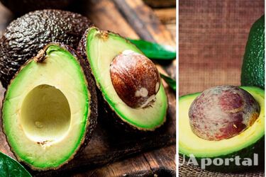 Who should not eat avocados regularly