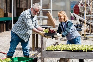 Врожай буде більшим: список рослин, які треба висадити у березні