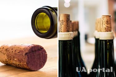 Don't rush to throw away: how to use wine corks for indoor plants