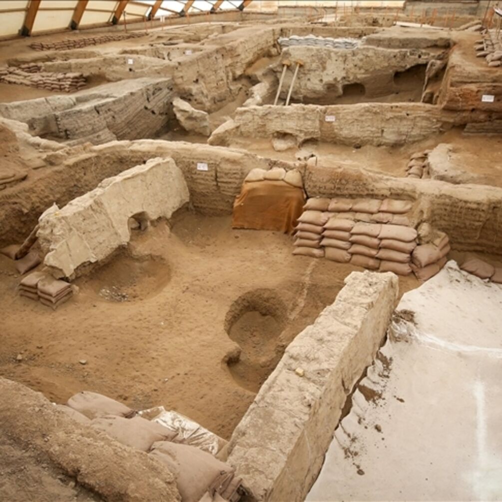 Археологи у Туреччині знайшли найдавніший хліб у світі: знахідці 8600 років (фото)