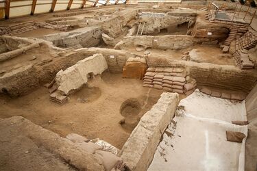 Археологи в Турции нашли самый древний хлеб в мире: находке 8600 лет (фото)