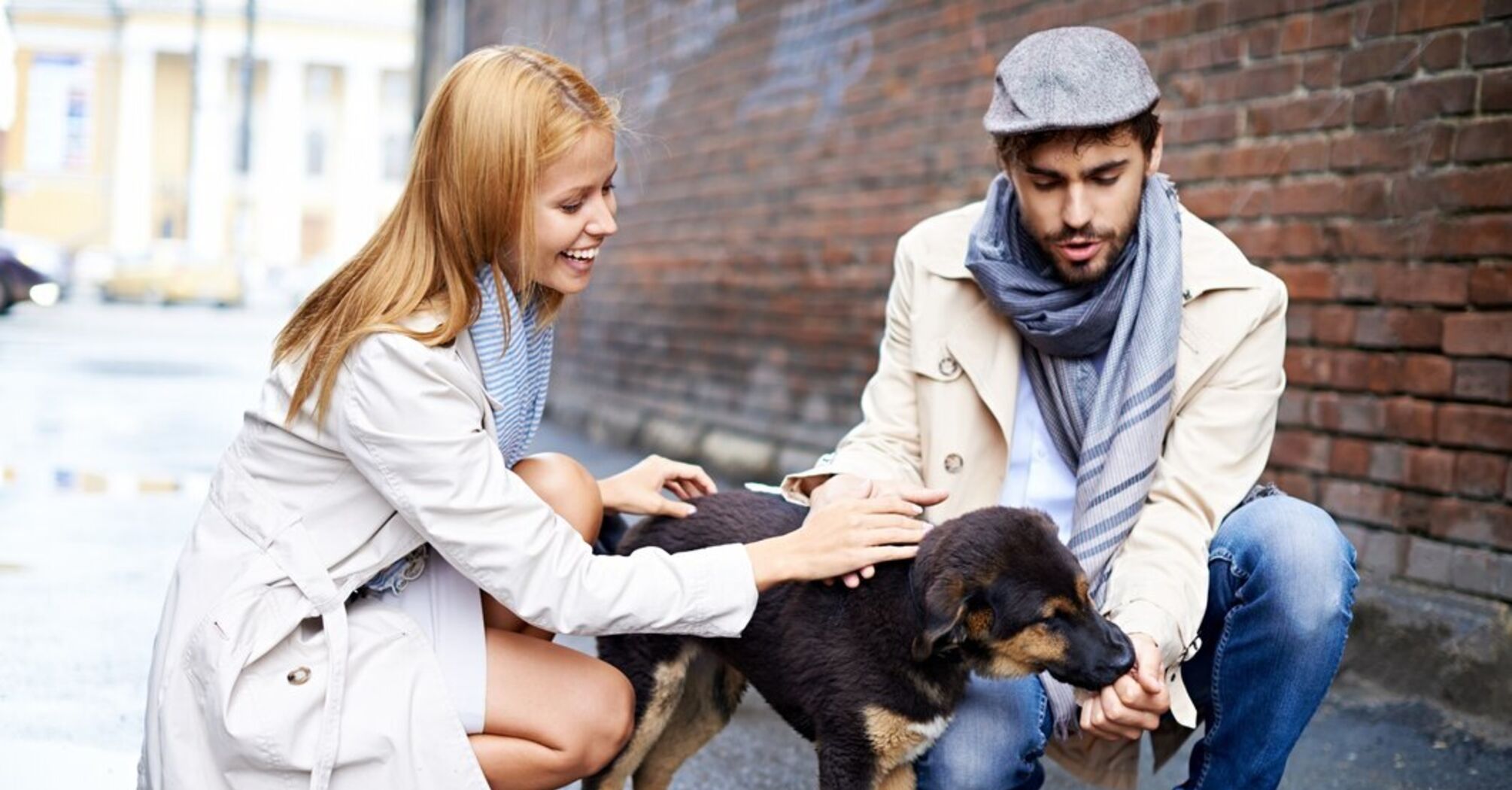 Як захистити собаку від отруєння на вулиці: 4 ефективні поради
