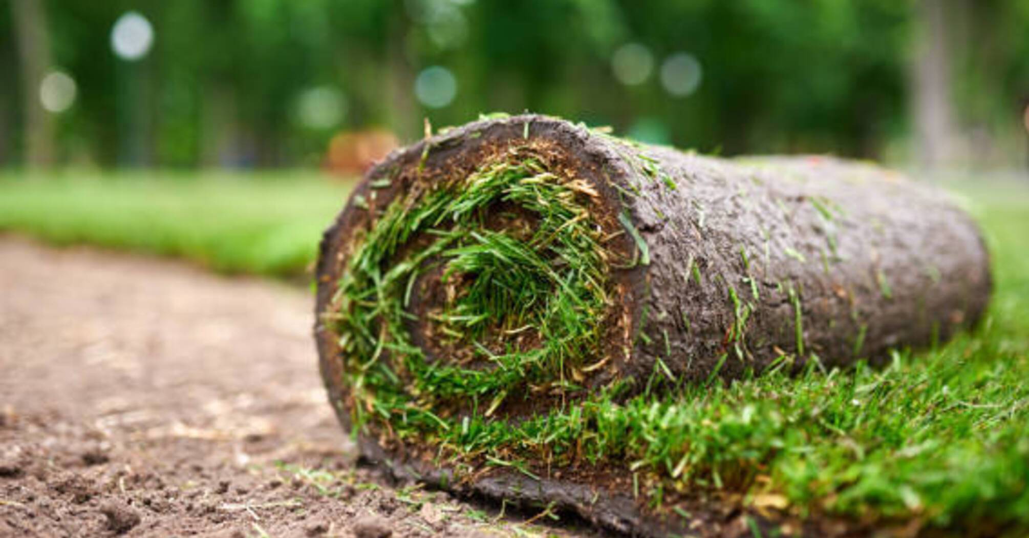 Преимущества и недостатки рулонного газона: что следует знать перед установкой