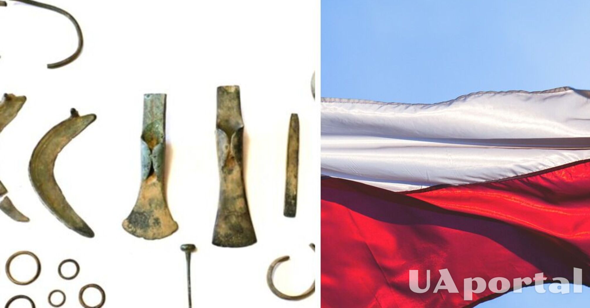 У Польщі виявили серпи та сокири бронзової епохи (фото)